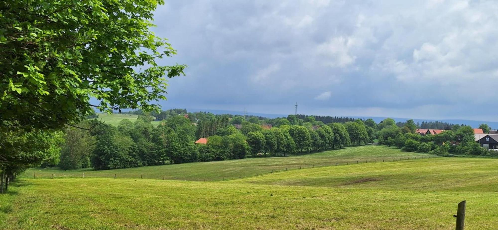 קלאוסטל-צלרפלד Mai-Ferienhaus-Harz 210Qm מראה חיצוני תמונה